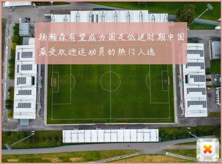 杨瀚森有望成为国足低迷时期中国最受欢迎运动员的热门人选