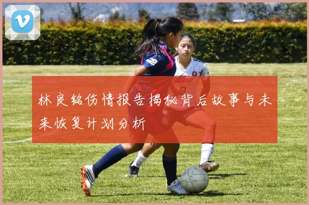 林良铭伤情报告揭秘背后故事与未来恢复计划分析