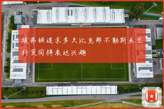 埃弗顿追求多夫比克那不勒斯米兰科莫同样表达兴趣