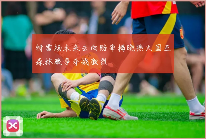 特雷杨未来去向赔率揭晓热火国王森林狼争夺战激烈