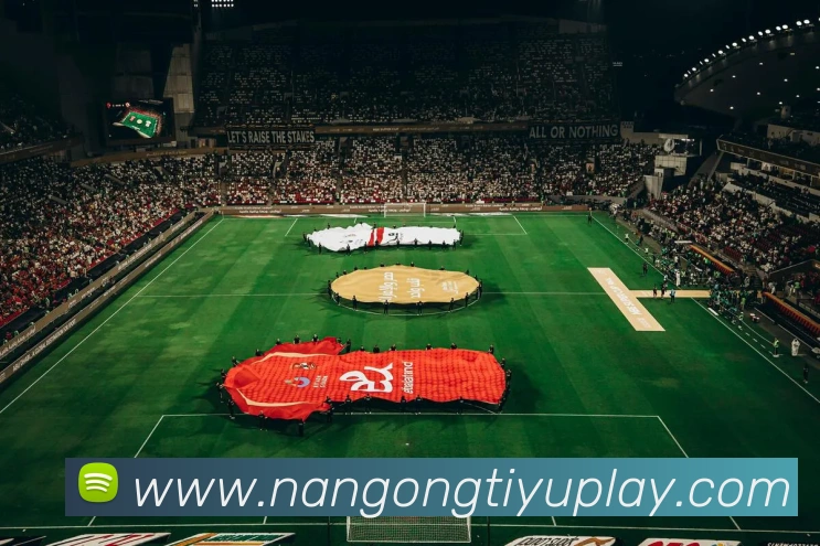 南宫体育平台生态图