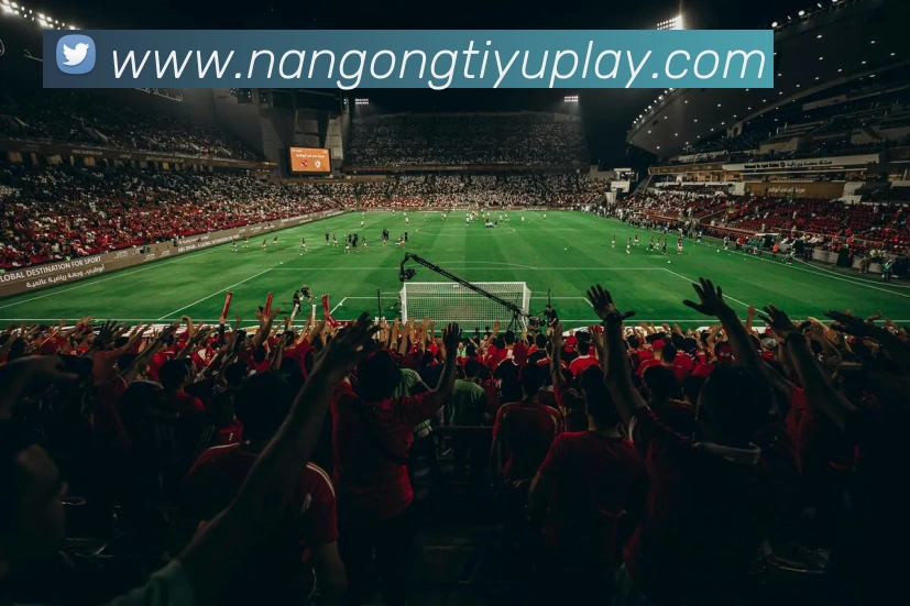 南宫体育全站App